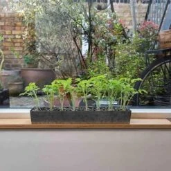 Galvanised Tray With 16 Grow Pods -GardenGlamour pr2000037487 card8 lg