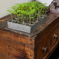 Galvanised Tray With 24 Grow Pods -GardenGlamour pr2000037488 card5 lg