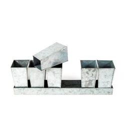 Galvanised Tray With 6 Tall Root Trainer Pods -GardenGlamour pr2000037489 card4 lg