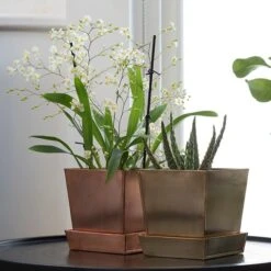 Square Copper Pot And Saucer -GardenGlamour pr2000037495 card3 lg