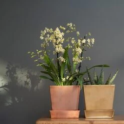 Square Copper Pot And Saucer -GardenGlamour pr2000037495 card4 lg