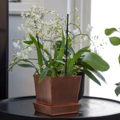 Square Copper Pot And Saucer -GardenGlamour pr2000037495 card6 lg