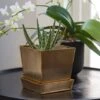 Square Brass Pot And Saucer -GardenGlamour pr2000037496