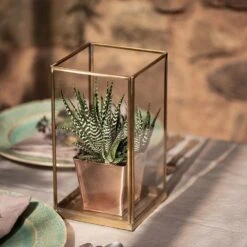 Simple Terrarium / Tealight Holder With Tray Base -GardenGlamour pr2000037497 card4 lg