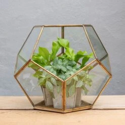 Pentagon Terrarium With Tray Base -GardenGlamour pr2000037499 card4 lg