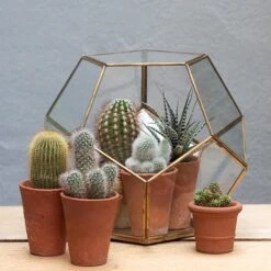 Pentagon Terrarium With Tray Base -GardenGlamour pr2000037499 card5 lg