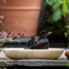 Turned White Marble Bird Bowl -GardenGlamour pr2000037501
