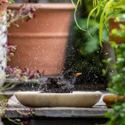 Turned White Marble Bird Bowl -GardenGlamour pr2000037501 card4 lg