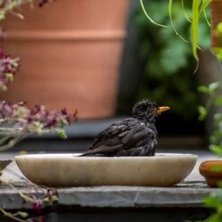 Turned White Marble Bird Bowl -GardenGlamour pr2000037501 card7 lg