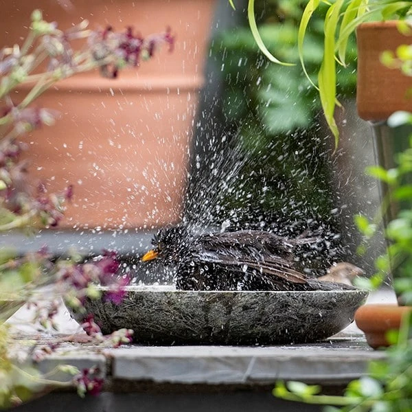 Turned Green Marble Bird Bowl 4 Turned Green Marble Bird Bowl - Image 2
