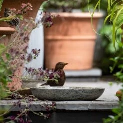 Turned Green Marble Bird Bowl 14 Turned Green Marble Bird Bowl -GardenGlamour pr2000037502 card4 lg