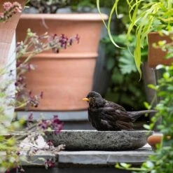 Turned Green Marble Bird Bowl 15 Turned Green Marble Bird Bowl -GardenGlamour pr2000037502 card5 lg