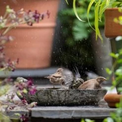 Turned Green Marble Bird Bowl 17 Turned Green Marble Bird Bowl -GardenGlamour pr2000037502 card7 lg