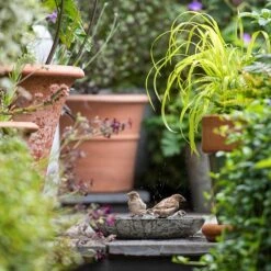 Turned Green Marble Bird Bowl 19 Turned Green Marble Bird Bowl -GardenGlamour pr2000037502 card9 lg