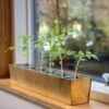 Brass Windowsill Tray With 6 Grow Pods -GardenGlamour pr2000037506