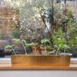 Brass Windowsill Tray With 6 Grow Pods 13 Brass Windowsill Tray With 6 Grow Pods -GardenGlamour pr2000037506 card4 lg