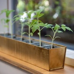 Brass Windowsill Tray With 6 Grow Pods 14 Brass Windowsill Tray With 6 Grow Pods -GardenGlamour pr2000037506 card5 lg