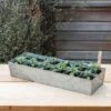 Galvanised Tray With 12 Large Grow Pods -GardenGlamour pr2000037508