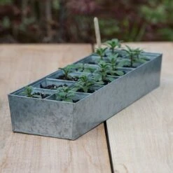 Galvanised Tray With 12 Large Grow Pods -GardenGlamour pr2000037508 card3 lg