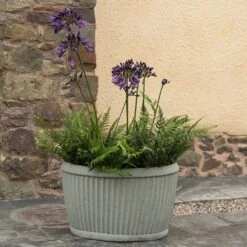 Oval Zinc Dolly Tub Pot 13 Oval Zinc Dolly Tub Pot -GardenGlamour pr2000037524 card6 lg
