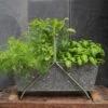 Portable Planting Trough - Crocus Green Frame -GardenGlamour pr2000037525