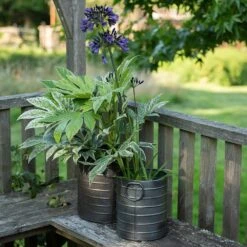 Galvanised Cylinder Pot -GardenGlamour pr2000037551 card3 lg