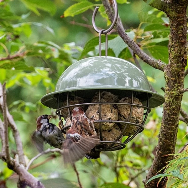 Birdie Fat Snax Feeder - Crocus Green 4 Birdie Fat Snax Feeder - Crocus Green - Image 2