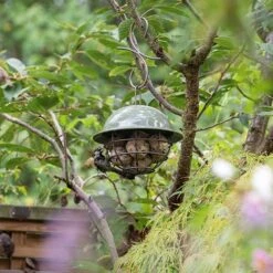 Birdie Fat Snax Feeder - Crocus Green 10 Birdie Fat Snax Feeder - Crocus Green -GardenGlamour pr2000037554 card3 lg