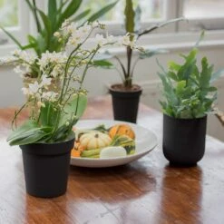 Charcoal Metal Plant Pot Cover With Enamel Interior 12 Charcoal Metal Plant Pot Cover With Enamel Interior -GardenGlamour pr2000037568 card5 lg