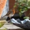 Zinc Leaf Bird Bath -GardenGlamour pr2000037571