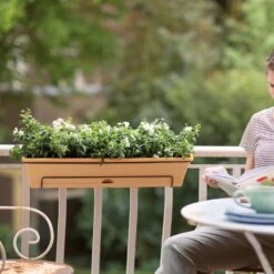 Green Basics All In One Trough Terracotta