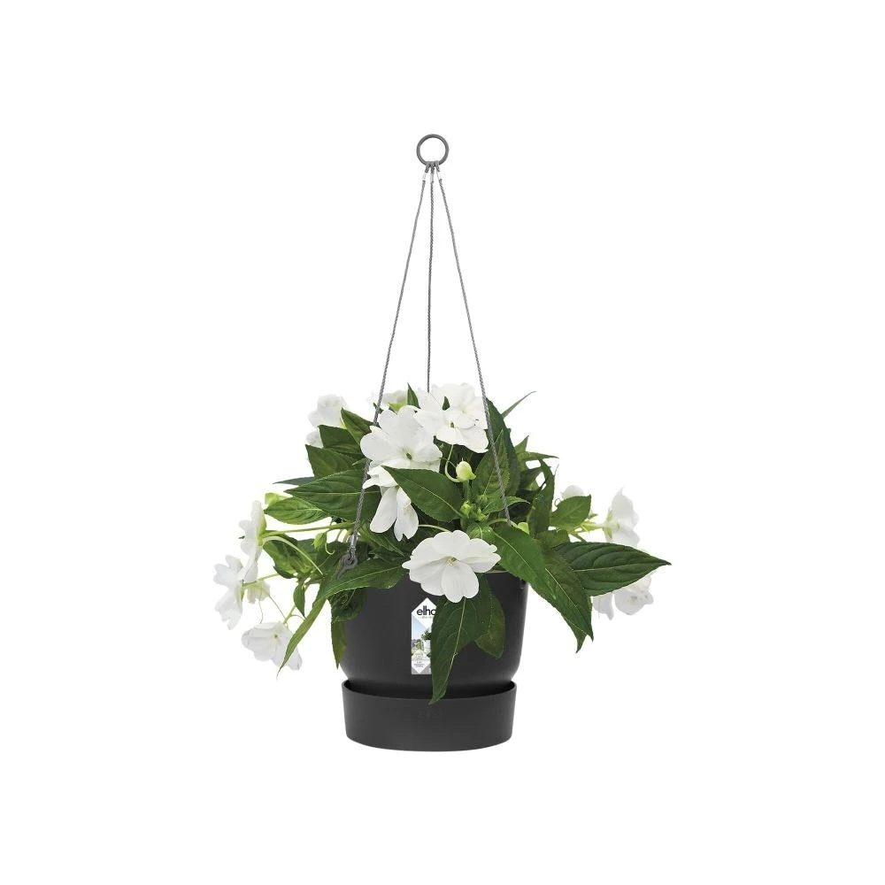 Greenville Hanging Basket Black 4 Greenville Hanging Basket Black - Image 2