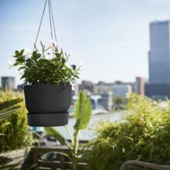 Greenville Hanging Basket Black 8 Greenville Hanging Basket Black -GardenGlamour pr2000038232 card3 lg