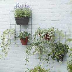 Loft Urban Green Wall Rack Black -GardenGlamour pr2000038235 card3 lg