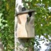 Curve Cavity Nest Box -GardenGlamour pr2000038547