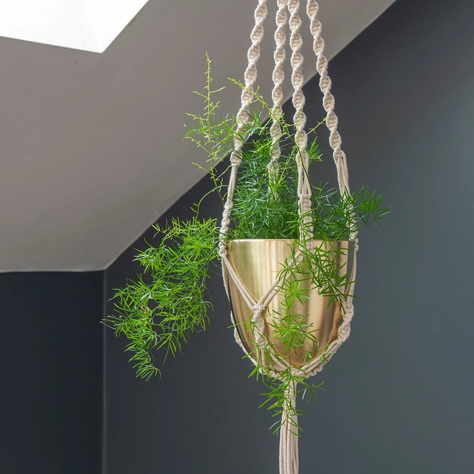 Macrame Hanger With Brushed Brass Pot 3 Macrame Hanger With Brushed Brass Pot