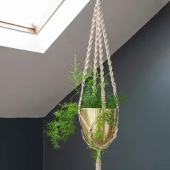 Macrame Hanger With Brushed Brass Pot 7 Macrame Hanger With Brushed Brass Pot -GardenGlamour pr2000038571 card4 lg