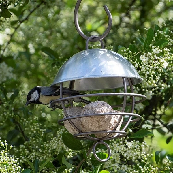 Brushed Aluminium Satellite Fat Ball Feeder 6 Brushed Aluminium Satellite Fat Ball Feeder - Image 4