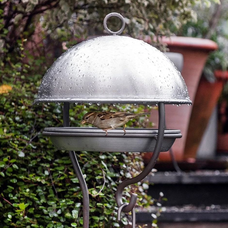 Brushed Aluminium Stake Bird Feeding Dome 3 Brushed Aluminium Stake Bird Feeding Dome