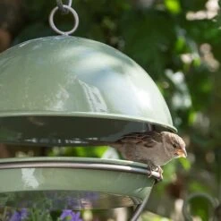 Hanging Bird Feeding Dome - Crocus Green -GardenGlamour pr2000040693 card2 lg