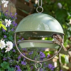 Hanging Bird Feeding Dome - Crocus Green -GardenGlamour pr2000040693 card5 lg