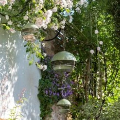 Hanging Bird Feeding Dome - Crocus Green -GardenGlamour pr2000040693 card7 lg