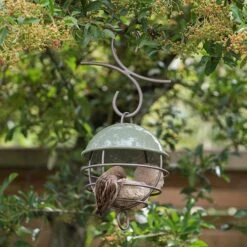 Satellite Fat Ball Feeder - Crocus Green -GardenGlamour pr2000040694 card5 lg