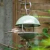 Crocus Green Satellite Bird Seed Feeder -GardenGlamour pr2000040695