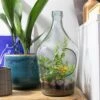 DIY Terrarium Bottle 3 Litre -GardenGlamour pr2000040786
