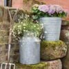Galvanised Milk Churn -GardenGlamour pr2000041000