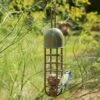 Tree Hanging Fat Ball Feeder - Crocus Green 1 Tree Hanging Fat Ball Feeder - Crocus Green -GardenGlamour pr2000041702