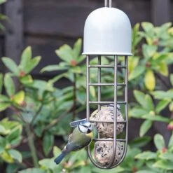 Tree Hanging Fat Ball Feeder - Putty -GardenGlamour pr2000041703 card4 lg