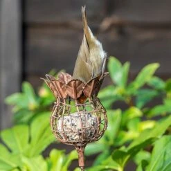 Poppy Seed Head Fat Snax Feeder - Rust 8 Poppy Seed Head Fat Snax Feeder - Rust -GardenGlamour pr2000041714 card3 lg