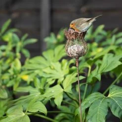 Poppy Seed Head Fat Snax Feeder - Rust 9 Poppy Seed Head Fat Snax Feeder - Rust -GardenGlamour pr2000041714 card4 lg